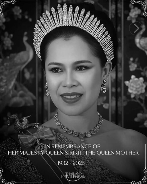 ด้วยสำนึกในพระมหากรุณาธิคุณอันหาที่สุดมิได้  ขอถวายความอาลัยคุณสมเด็จพระนางเจ้าสิริกิติ์ พระบรมราชินีนาถพระบรมราชชนนีพันปีหลวง ผู้ทรงเป็นแม่ของแผ่น ที่ทางเป็นแบบอย่างของการอนุรักษ์ของประทศไทย ตามพระราชดำรัส  “พระเจ้าอยู่หัวเป็นน้ำ ฉันจะเป็นป่า ป่าที่ถวายความจงรักภักดีต่อน้ำ พระเจ้าอยู่หัวสร้างอ่างเก็บน้ำ ฉันจะสร้างป่า”  พระราชดำรัส สมเด็จพระนางเจ้าสิริกิติ์ พระบรมราชินีนาถ พระบรมราชชนนีพันปีหลวง พระราชทานแก่ราษฎรบ้านถ้ำติ้ว อ.ส่องดาว จ.สกลนคร เมื่อวันที่ 20 ธันวาคม พ.ศ. 2525  ข้าพระพุทธเจ้าคณะกรรมการและทีมงานมูลนิธิพาช้างกลับบ้าน